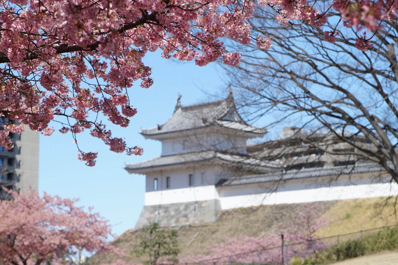 宇都宮城址公園の歩き方2026｜河津桜の見頃や駐車場・歴史の魅力を徹底解剖