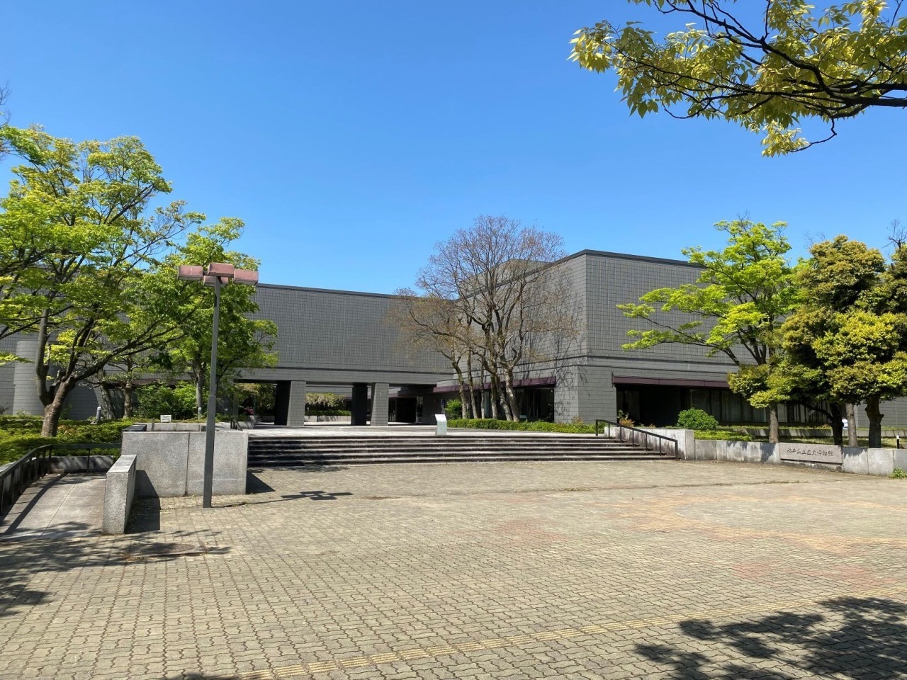 福井県立博物館の真相！歴史と恐竜の違いや最新予約・混雑を徹底解説