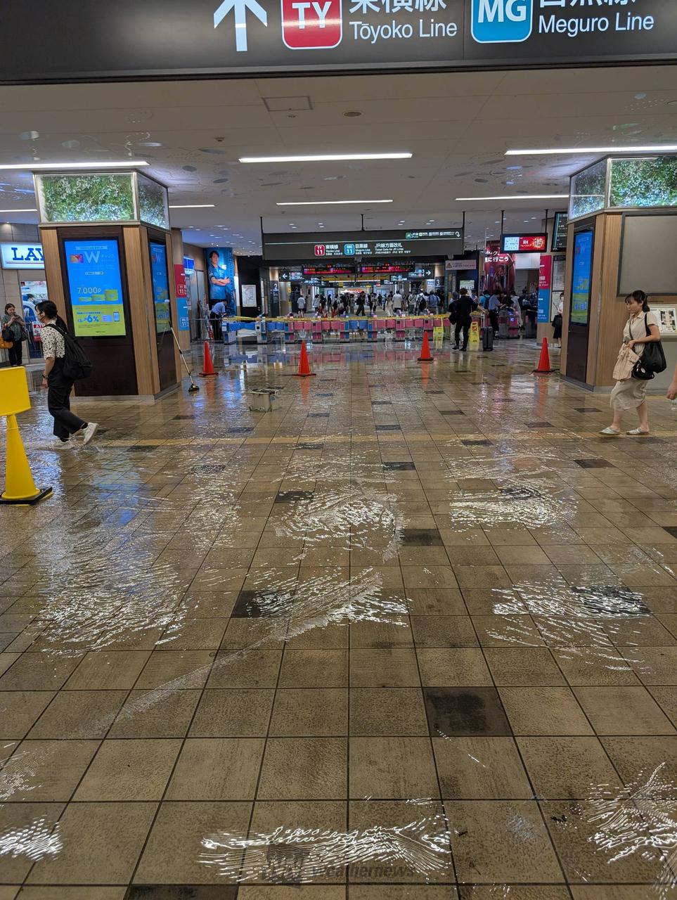 武蔵小杉の冠水はなぜ起きた？タワマン浸水の真相と現在の安全性を検証