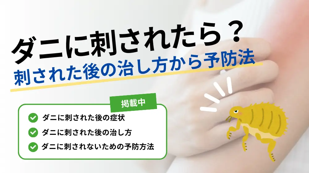 顔ダニの殺し方と全滅の罠！皮膚科医が語る正しい減らし方と最新治療法