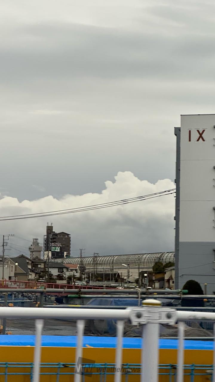 船橋市の最新天気と雨雲レーダー！ウェザーニュース活用法を徹底解説