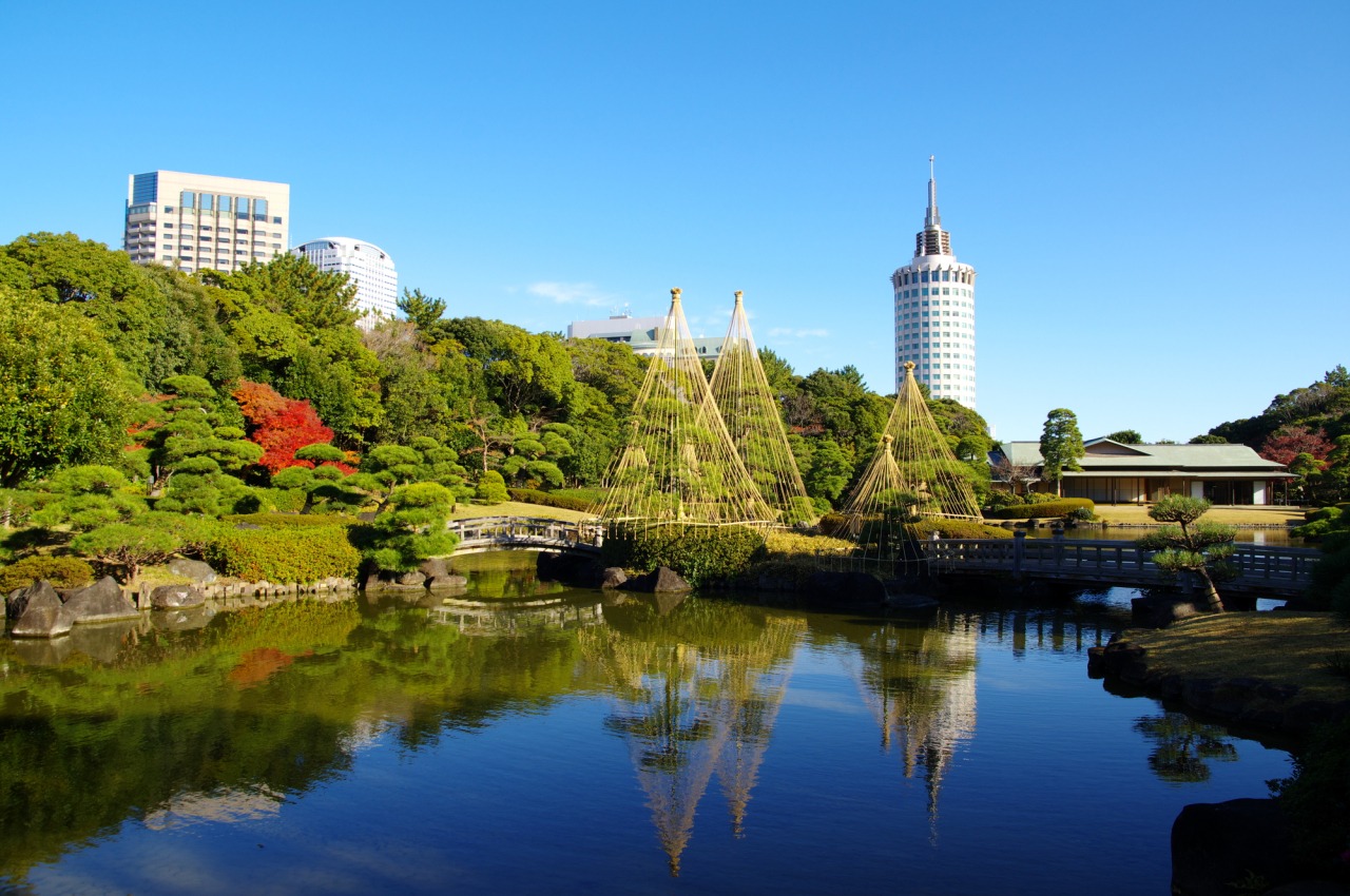 千葉県立幕張海浜公園の本当の魅力！見浜園・Bbqと混雑回避術