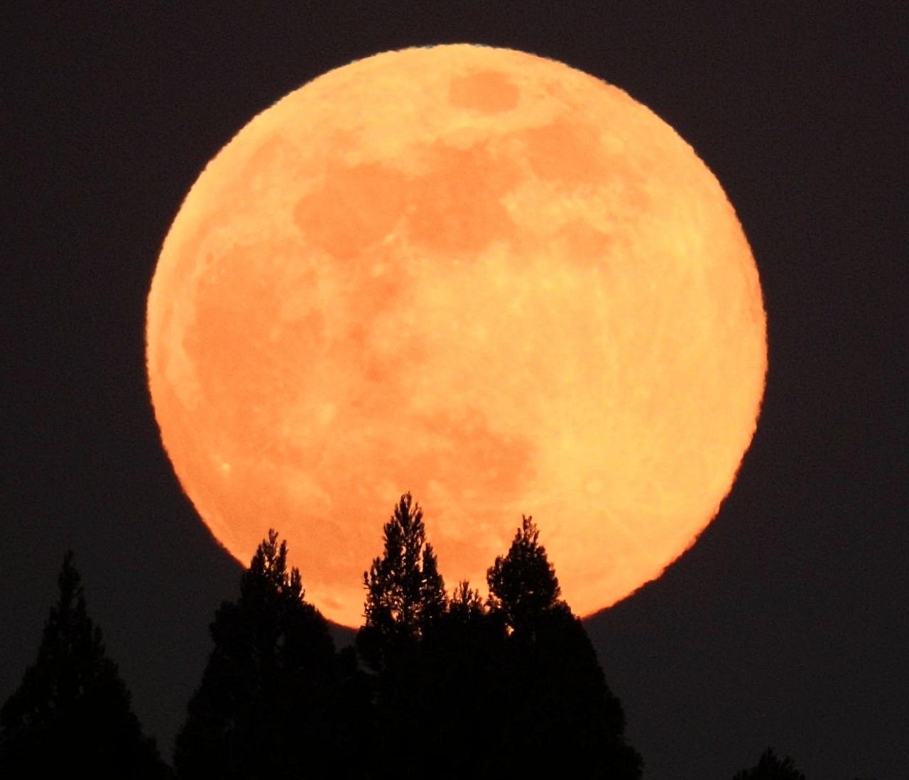 【2026最新】今日は満月？今夜の月の出時間と最大ピーク方角を徹底検証