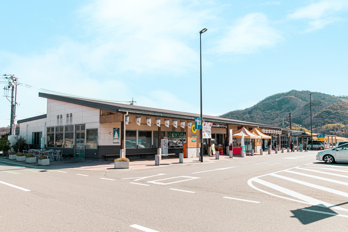 道の駅笠岡ベイファームの全貌！鮮魚バイキングと四季の花畑完全攻略