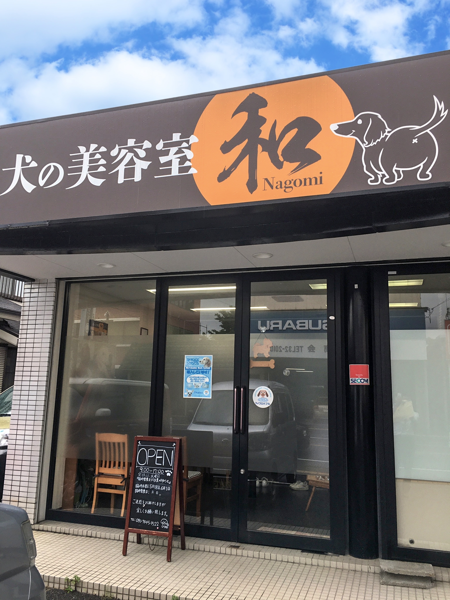 犬の美容室選びで後悔しない極意｜料金相場とトラブル回避の全真相