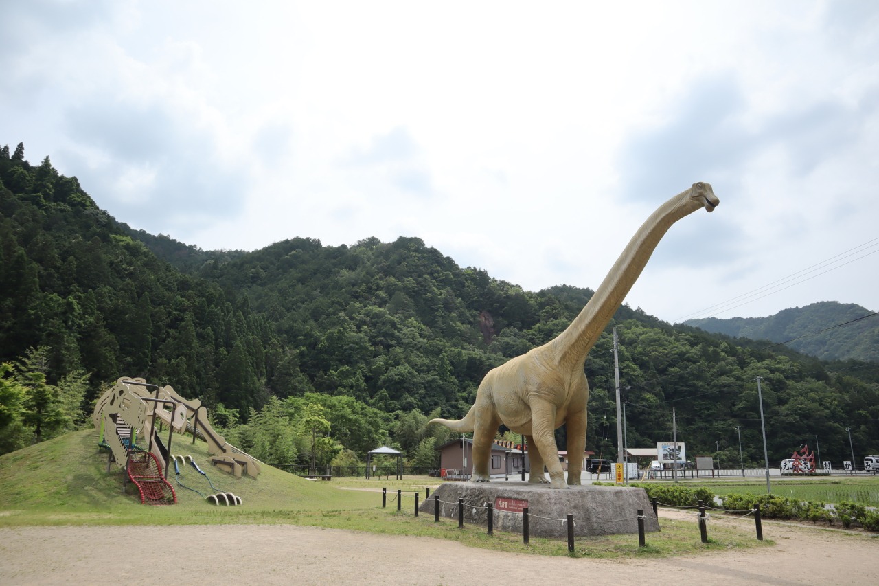 丹波竜の里公園の魅力解剖！実物大恐竜と遊具＆発掘体験ガイド