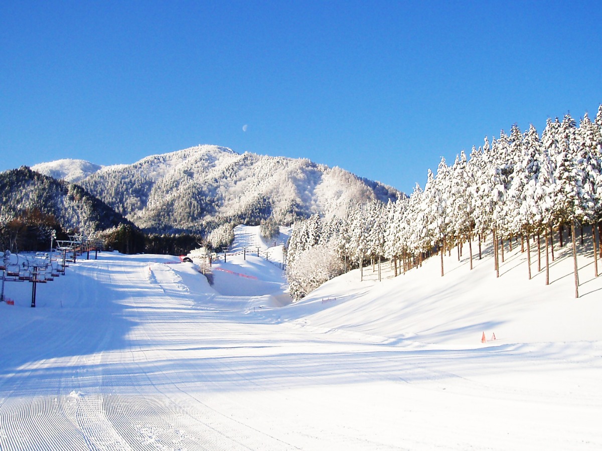 岡山いぶきの里の真価とは？千屋牛と極上温泉の口コミと混雑を解剖