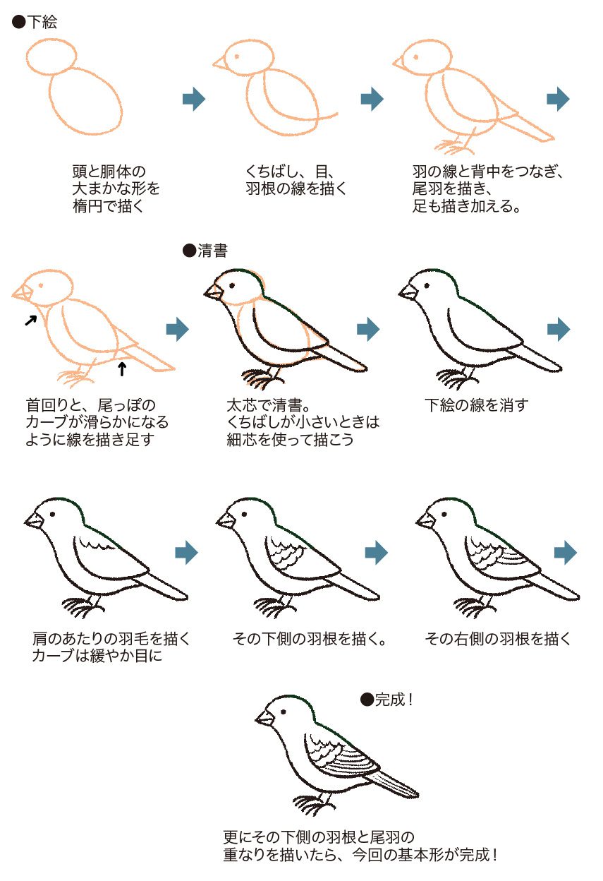 丸と三角で劇的変化！鳥の書き方完全攻略【リアル・可愛い・漢字まで】