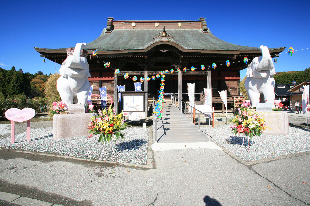 吉ゾウくんの長福寿寺は本当に当たる？怪しい噂の真相と金運の正体