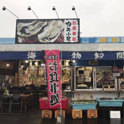 【2026最新】 カキ 小屋 飯岡 屋 水産 最新ニュース速報 2026 #831