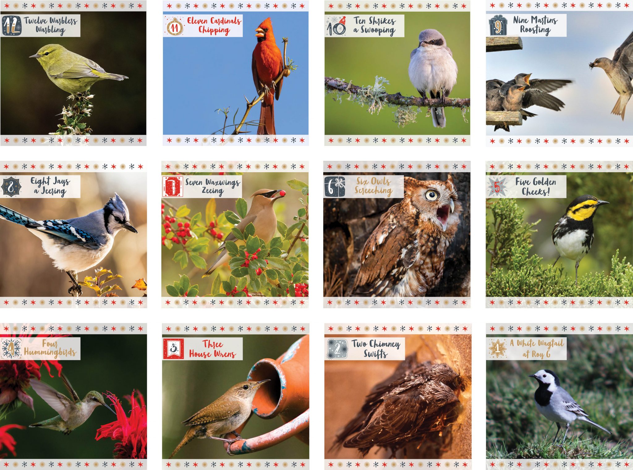How Many Birds Are in the 12 Days of Christmas