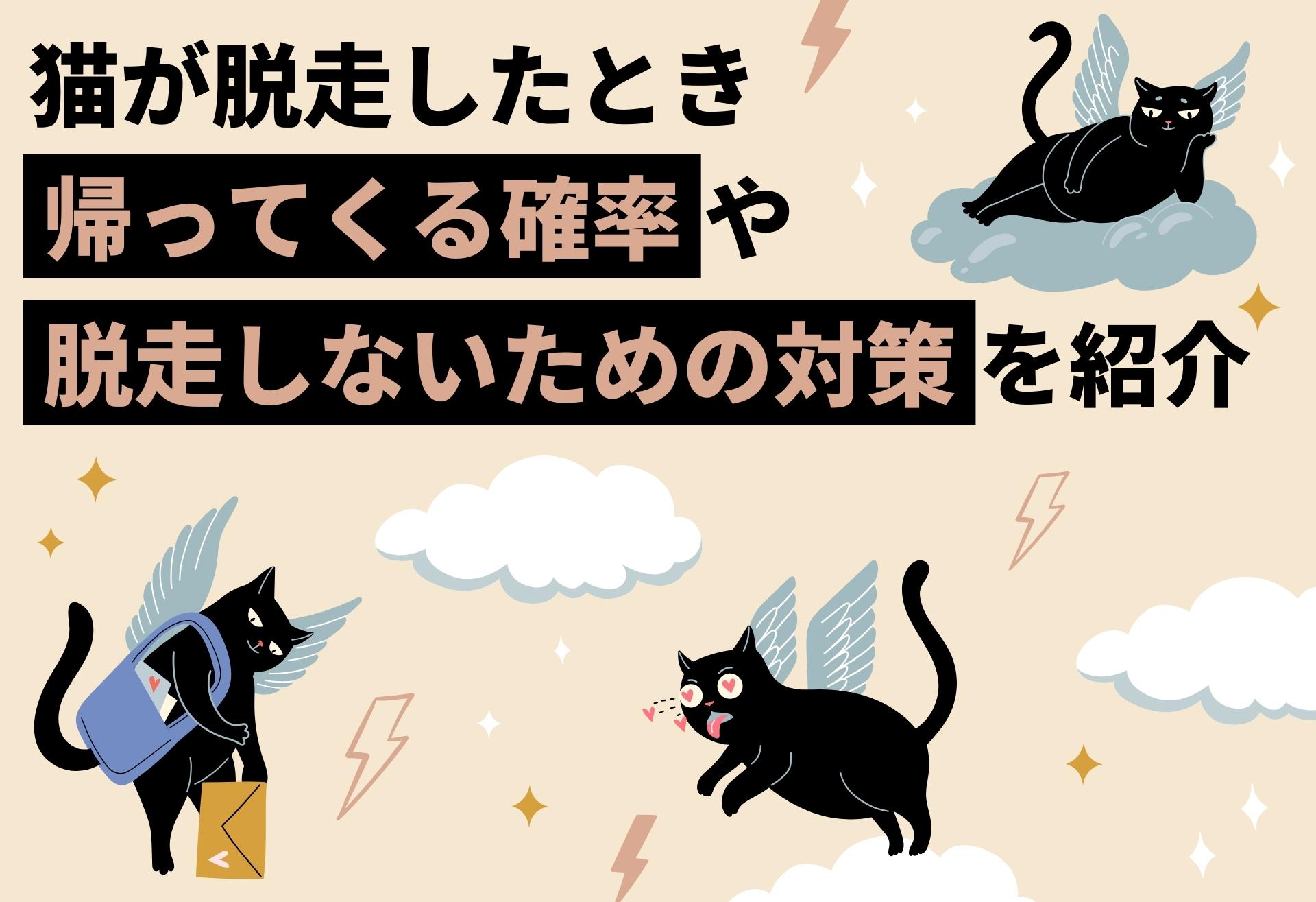 猫が脱走して帰ってくる確率は？初動72時間で見つける保護の決定打
