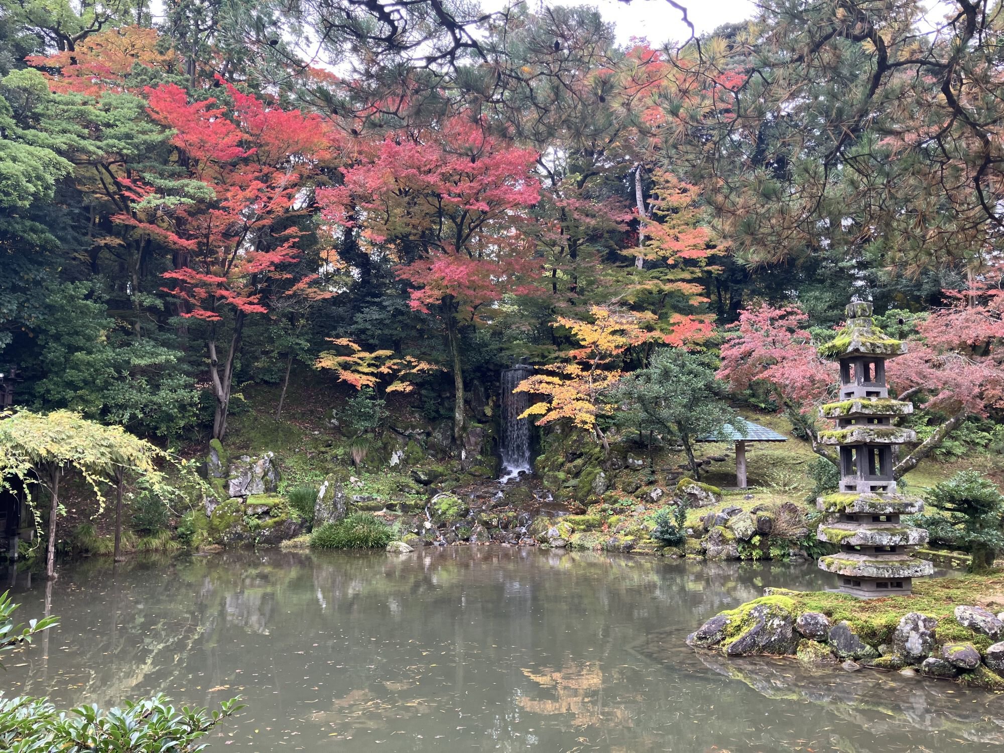 兼六園の紅葉2026！決定的な見頃時期と無料ライトアップ混雑回避術