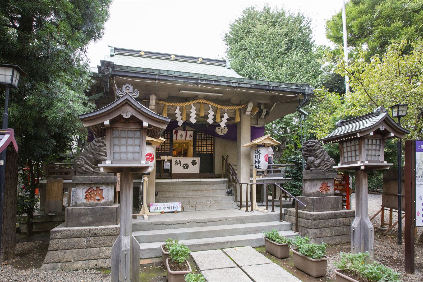 上目黒氷川神社が注目の理由とは？御朱印・ご利益・混雑を徹底取材
