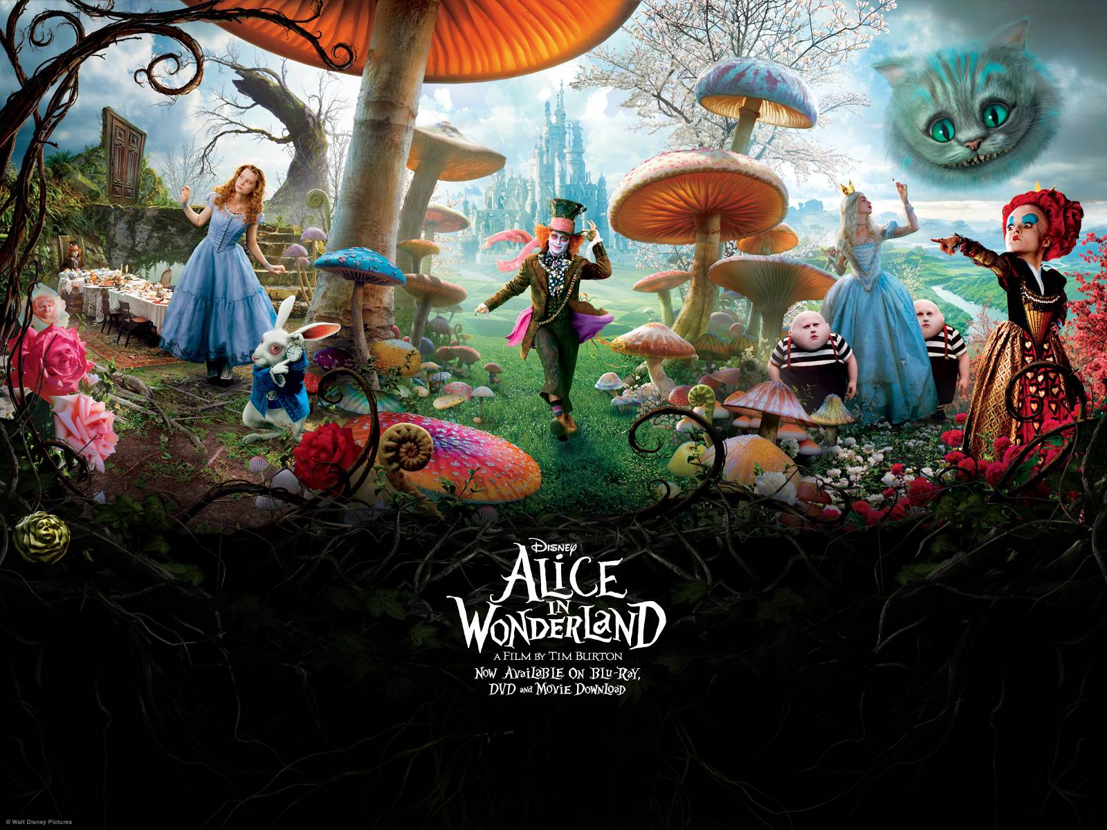 What Is Alice and Wonderland Really About