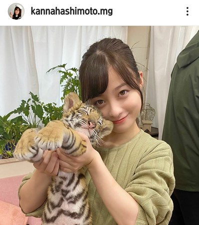 橋本環奈の「赤ちゃん抱っこ写真」がネットで大バズり！2026年最新ショットが呼び起こした電撃説の真相