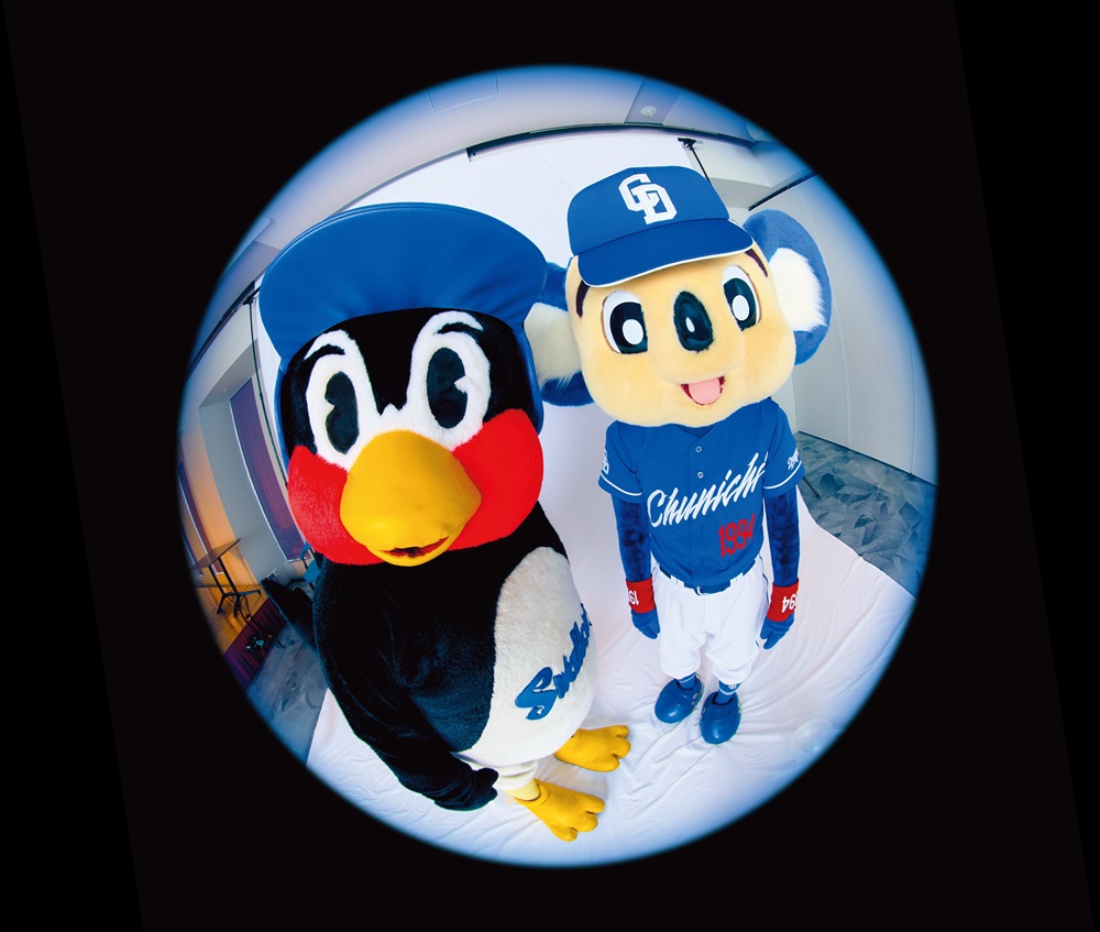 ドアラとつば九郎の絆！同期1994年組の裏側と2026年最新情報
