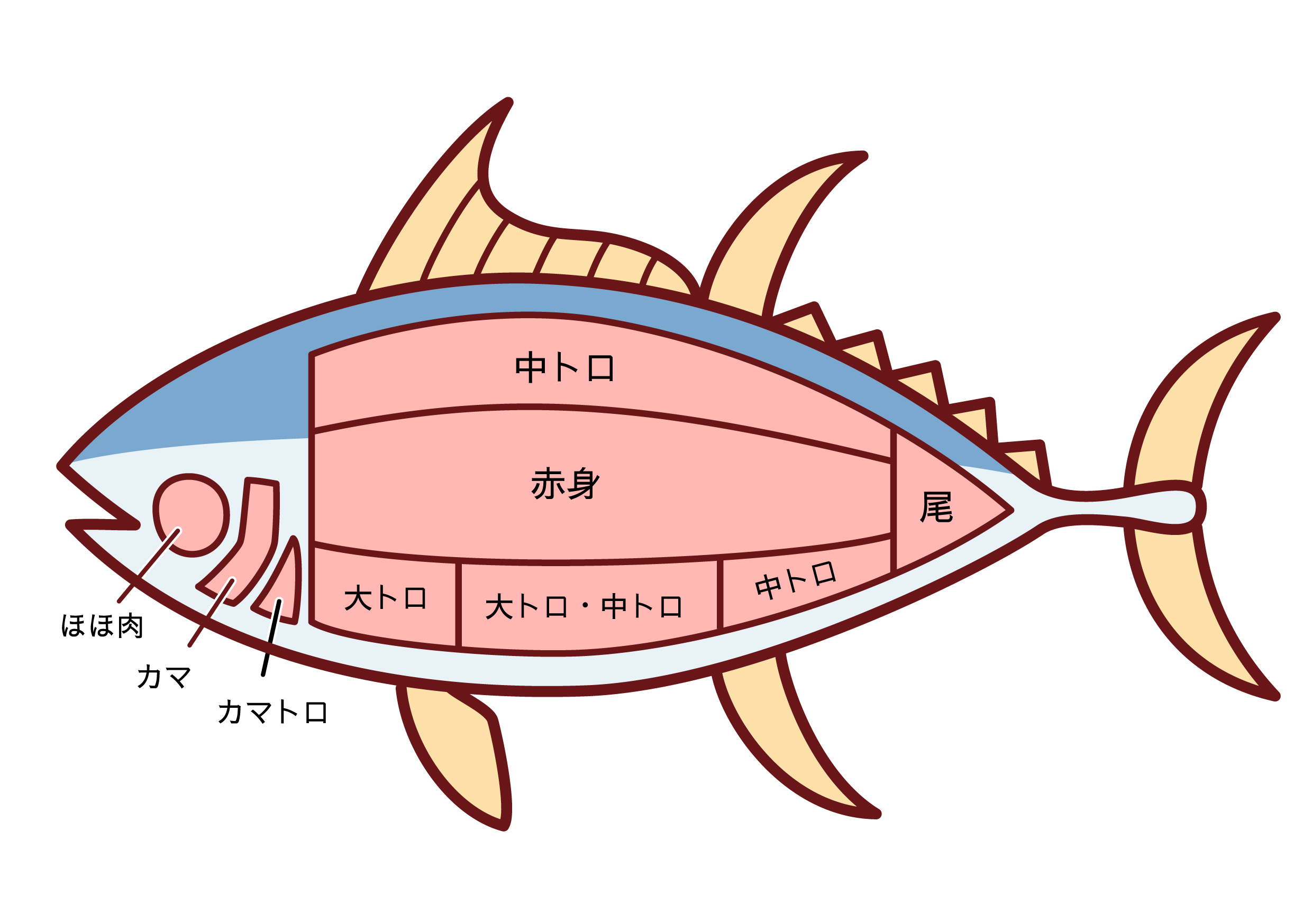 中野マグロマート予約の裏ワザと名物中落ちの全貌！2026年最新真相解剖
