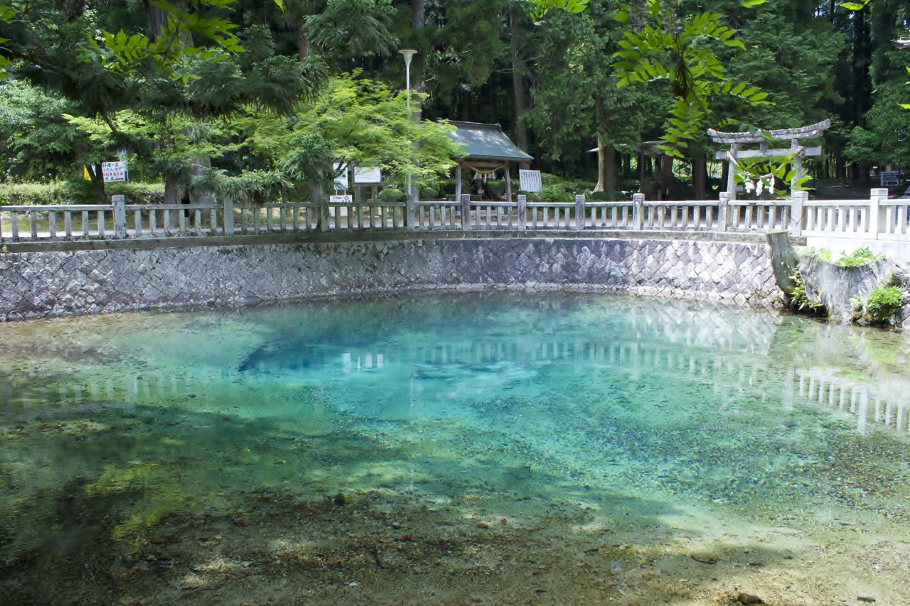 なぜ青い？別府弁天池の真実と名水の謎｜奇跡の絶景と伝説を徹底取材
