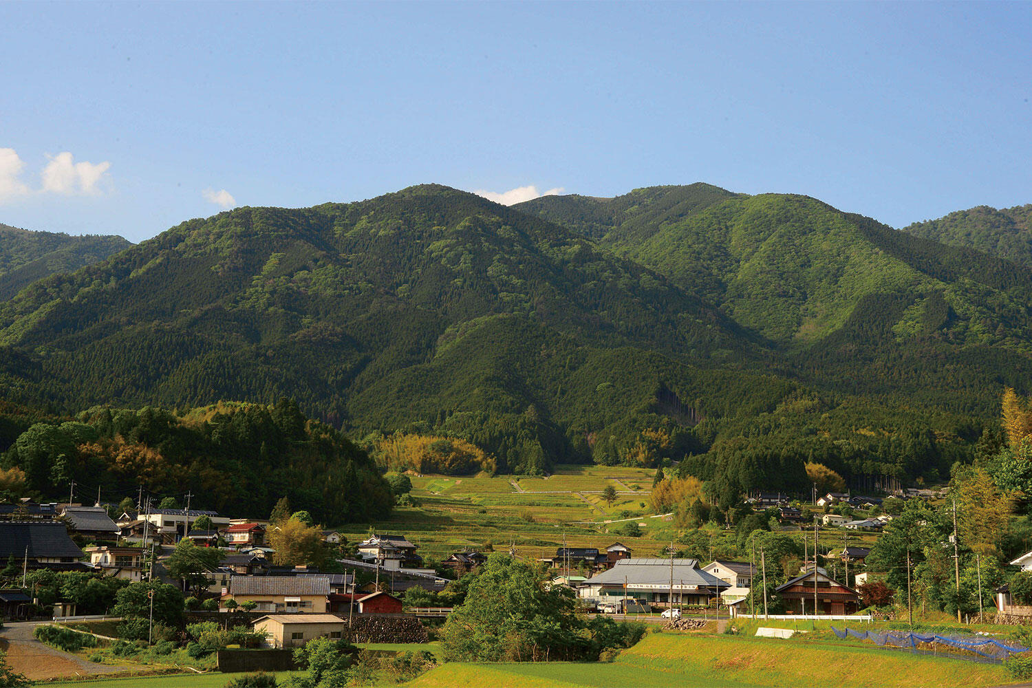 岡山県美作市の秘湯と武蔵の聖地！地元民が教える絶品グルメ攻略