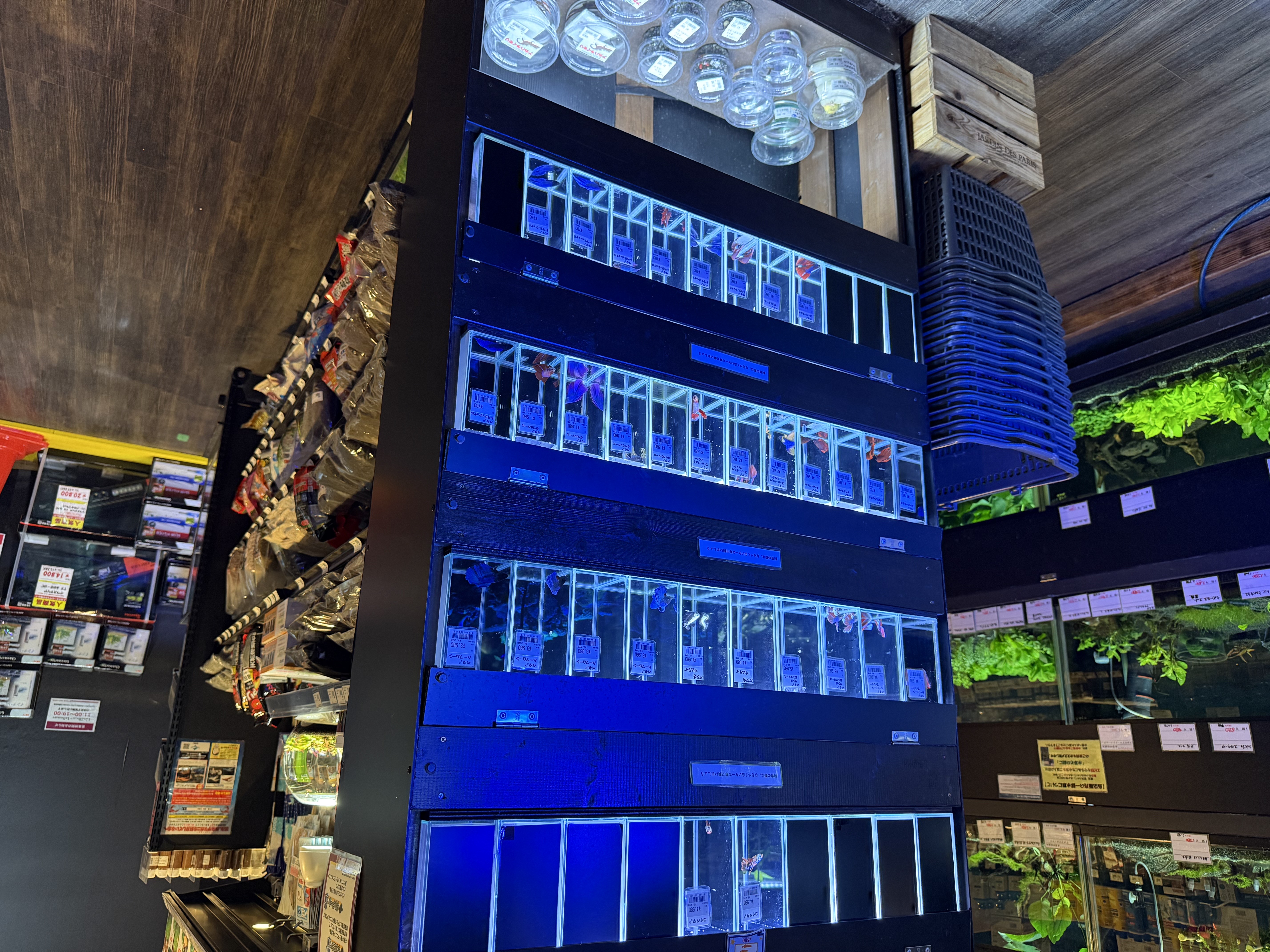 パウパウアクアガーデン新宿店の真相！閉店理由と跡地・代替店を追う