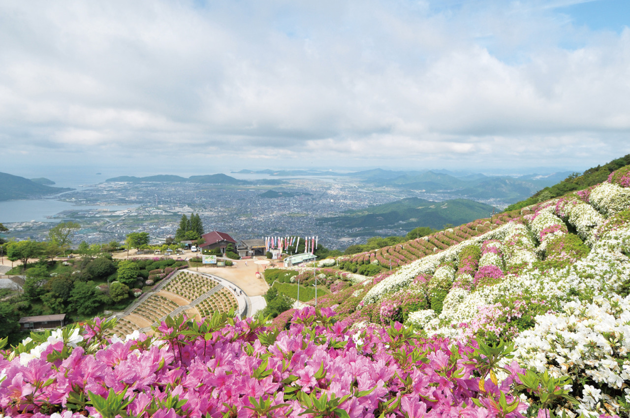 大平山山頂公園の絶景と見どころ徹底解説！アクセスと最新状況