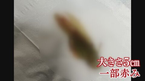 【最新】 こく うま キムチ バッタ 混入 画像 最新熱愛噂まとめ #649