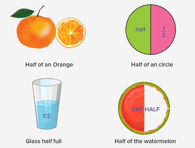 What Is Half of a 1/2