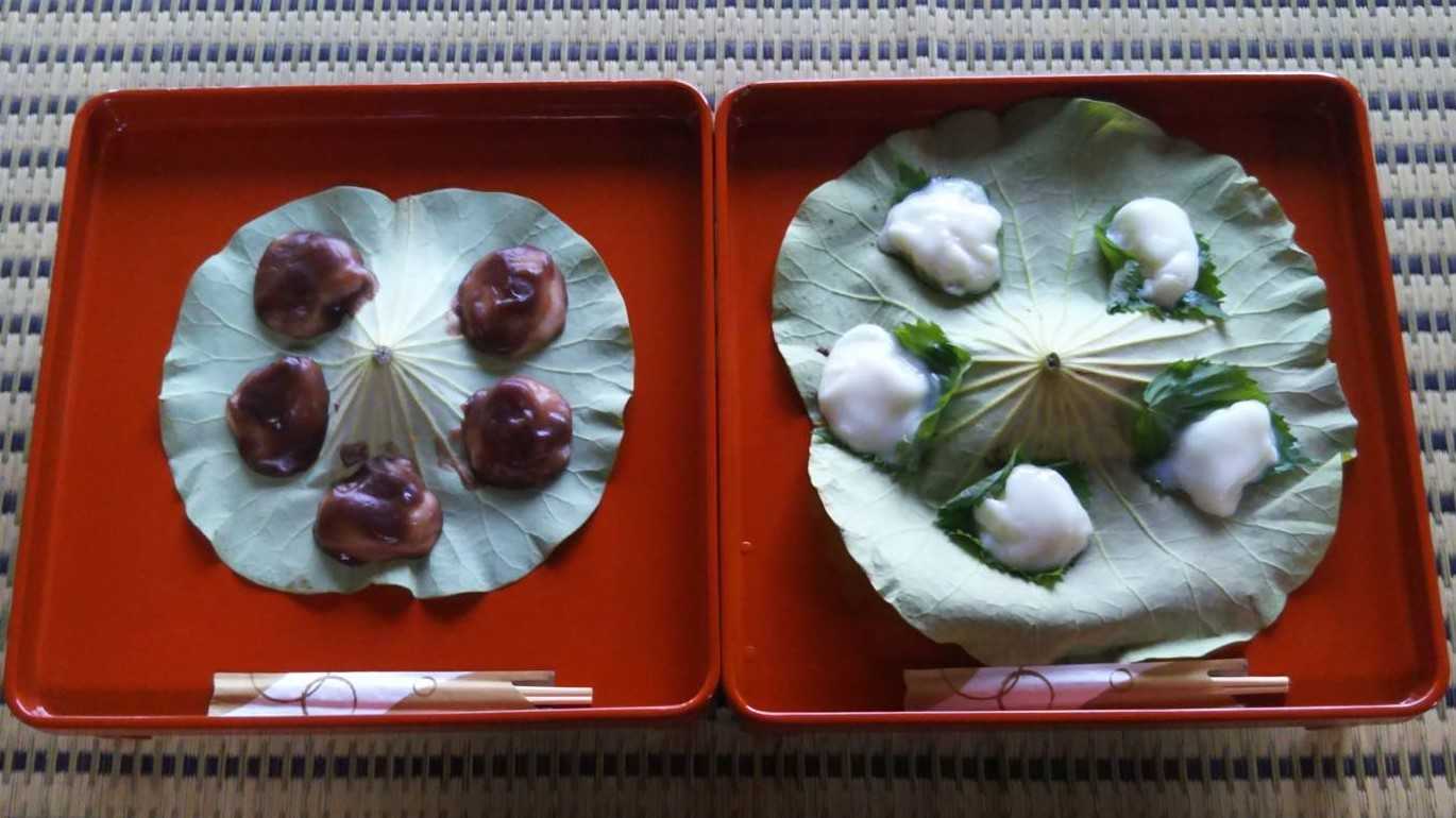 青森弘前名物「うちわ餅」なぜ話題？黒ごまダレの秘密と通販事情