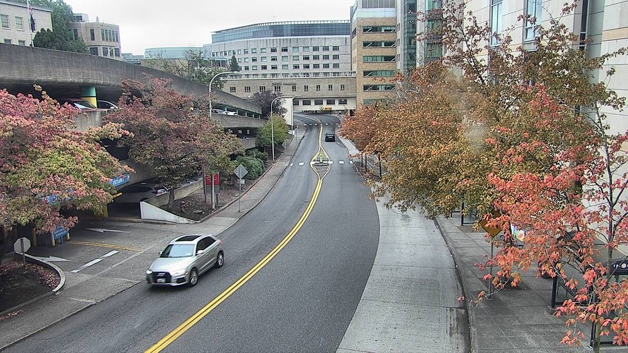 Live Feed Portland Oregon