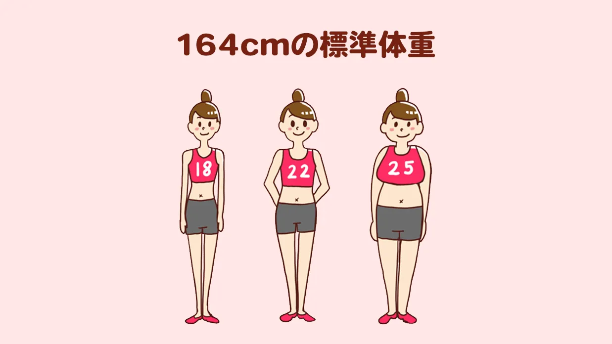 164Cm女性のベスト体重は？標準・美容・モデルの差と見た目の真実