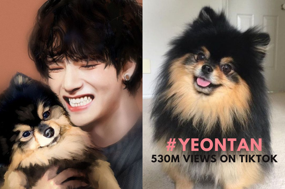 Bts V's Dog Name