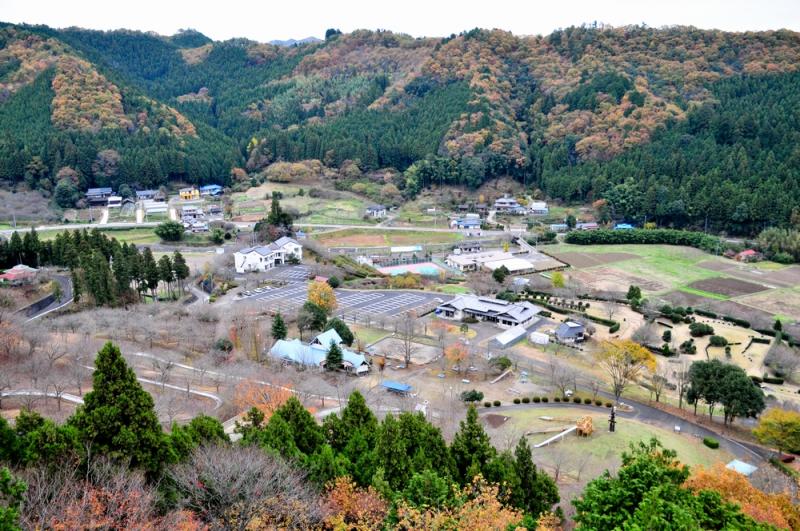 常時接続の世界に疲れた人々が集う場所——「やすらぎ の 里」が提言する2026年の脳休養革命