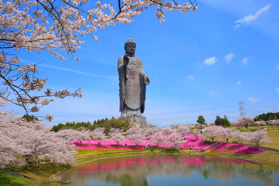 牛久大仏はなぜ建てられた？ギネス記録の高さと胎内めぐりの全貌