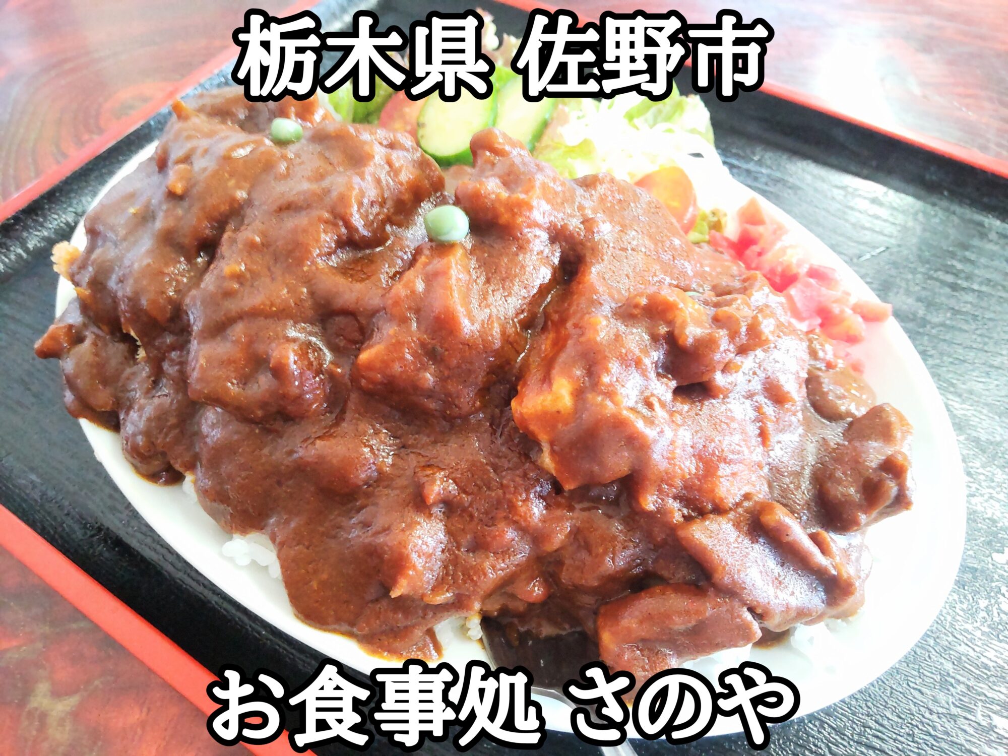 佐野市デカ盛り完全攻略！3Kgすり鉢麺とジャンボ餃子の名店2026