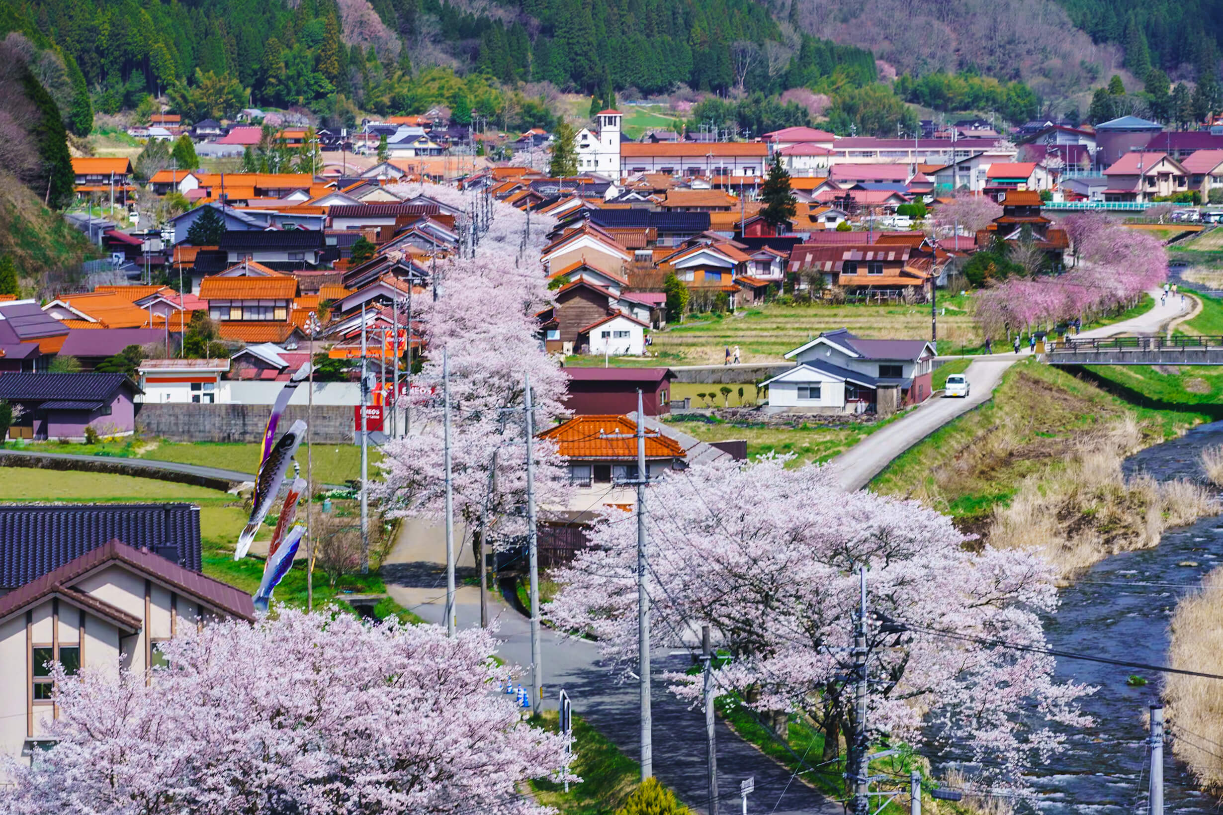 美しい村・岡山県新庄村の現在地｜がいせん桜と移住支援の評判を追う