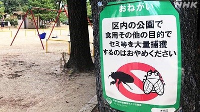 【話題】 セミ を 食べ ない で 最新熱愛噂まとめ #817