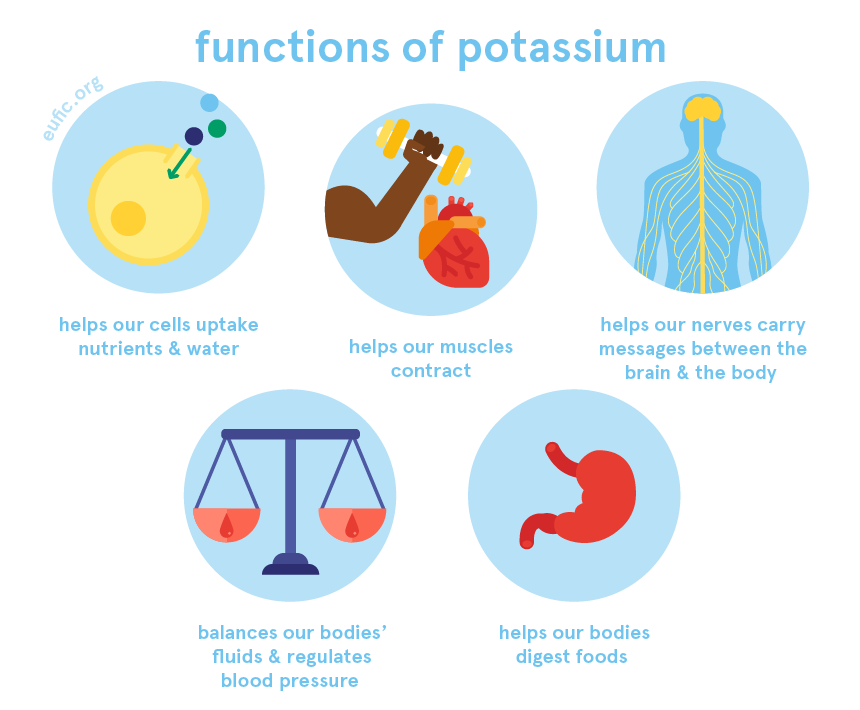 How Long Does Potassium Stay in Your System