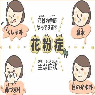 【経歴】 花粉 症 なる 人 ならない 人 最新画像・動画まとめ #843