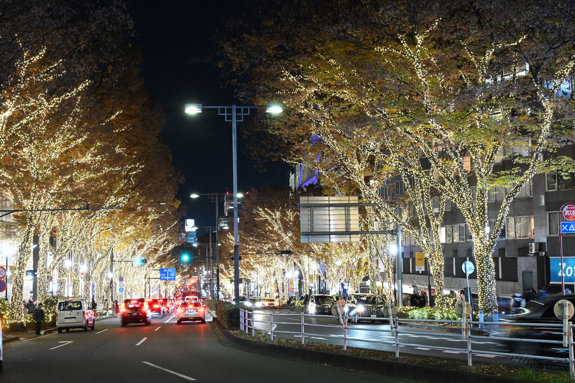 表参道イルミネーション2026最新攻略！期間と混雑回避の全貌