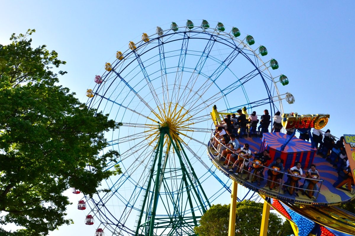 ひたち海浜公園2026最新攻略！ネモフィラ・コキア見頃と混雑回避術