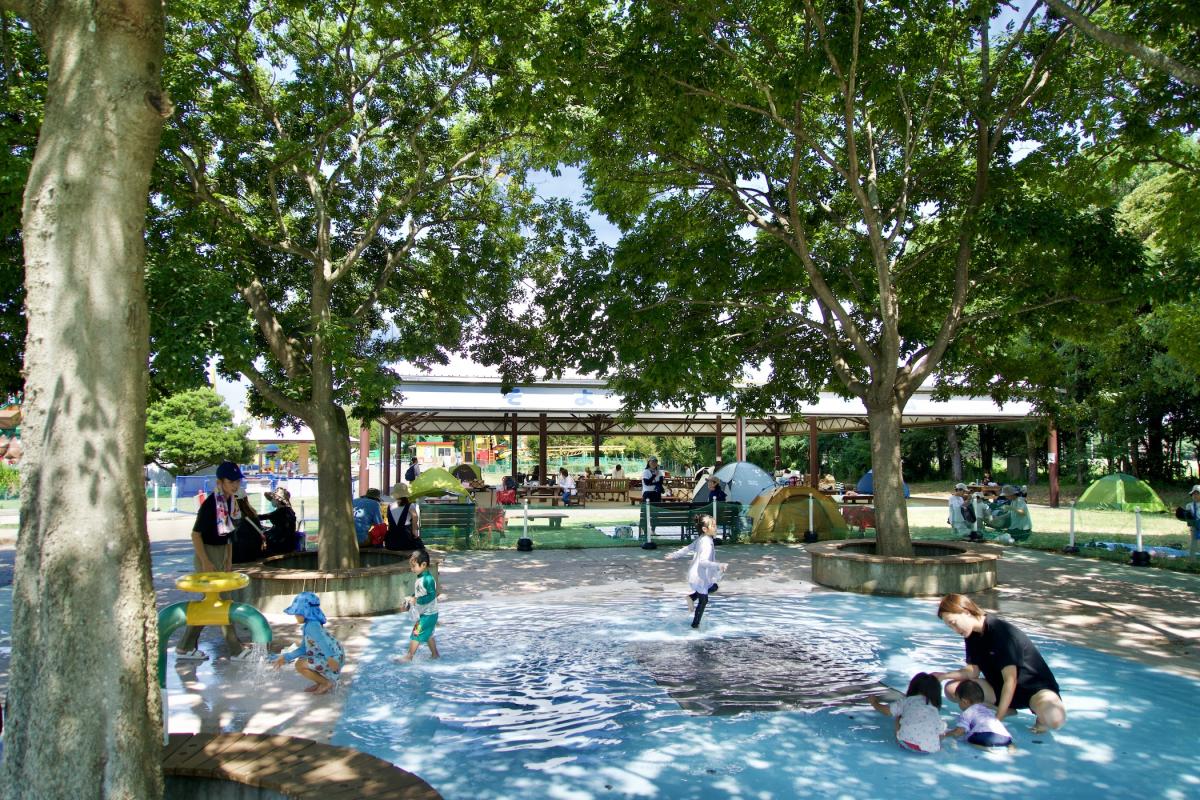 海浜公園の水遊びで後悔しない！混雑回避の裏ワザ＆オムツ対策【2026最新】