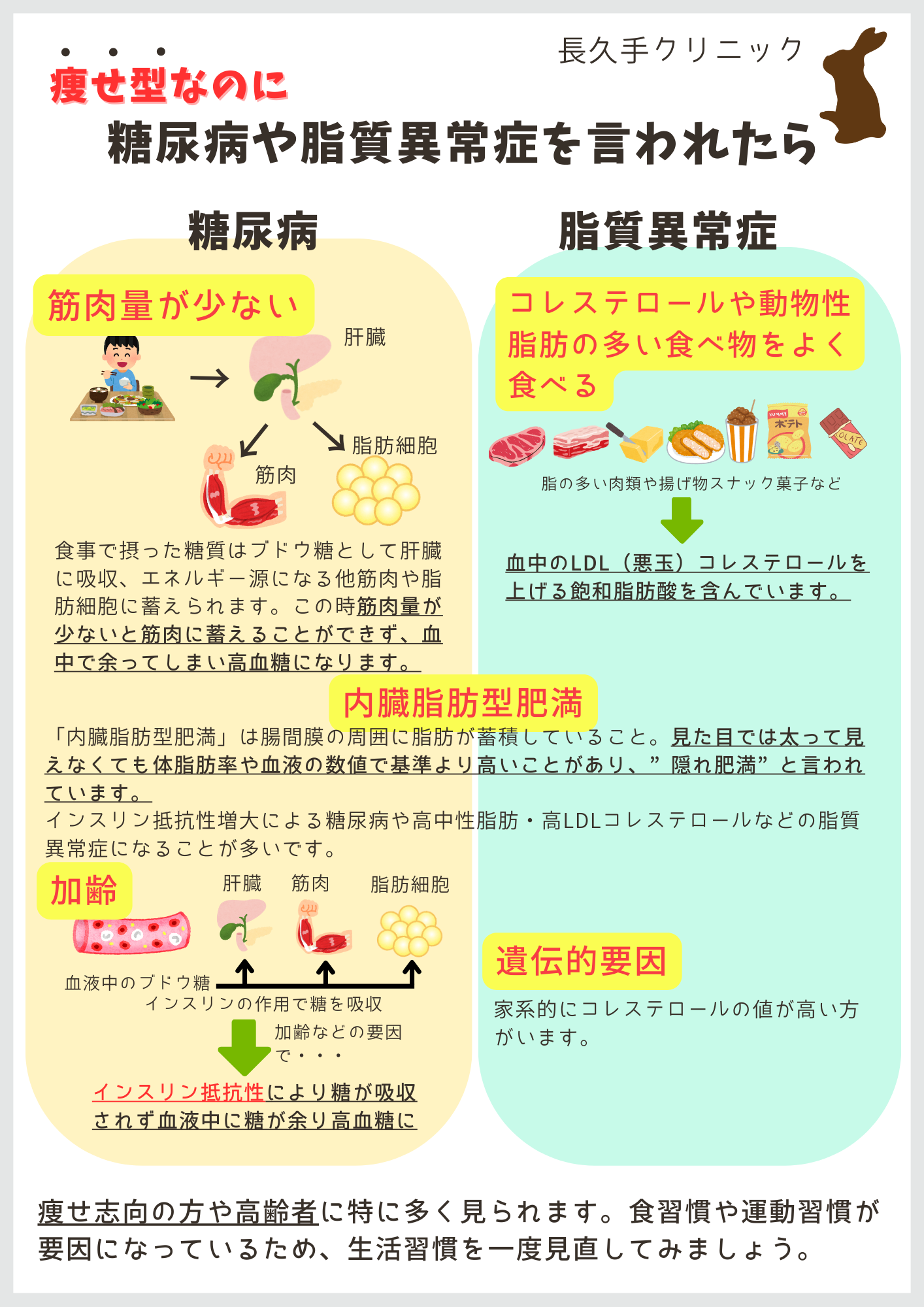 太っていないのになぜ？痩せ型を襲うインスリン抵抗性の真実