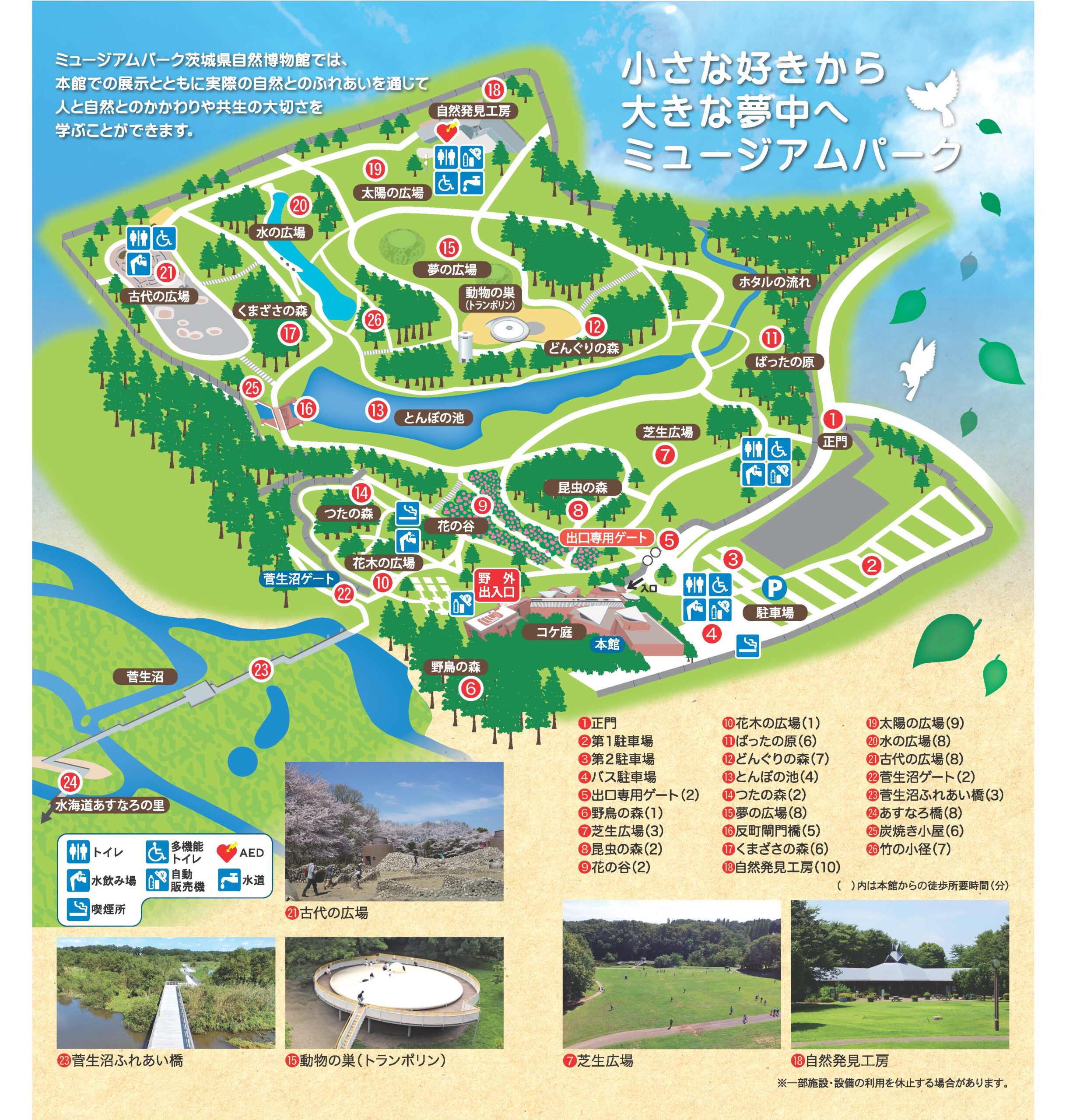 茨城県自然博物館の予約と混雑攻略2026｜恐竜と見どころ完全解説