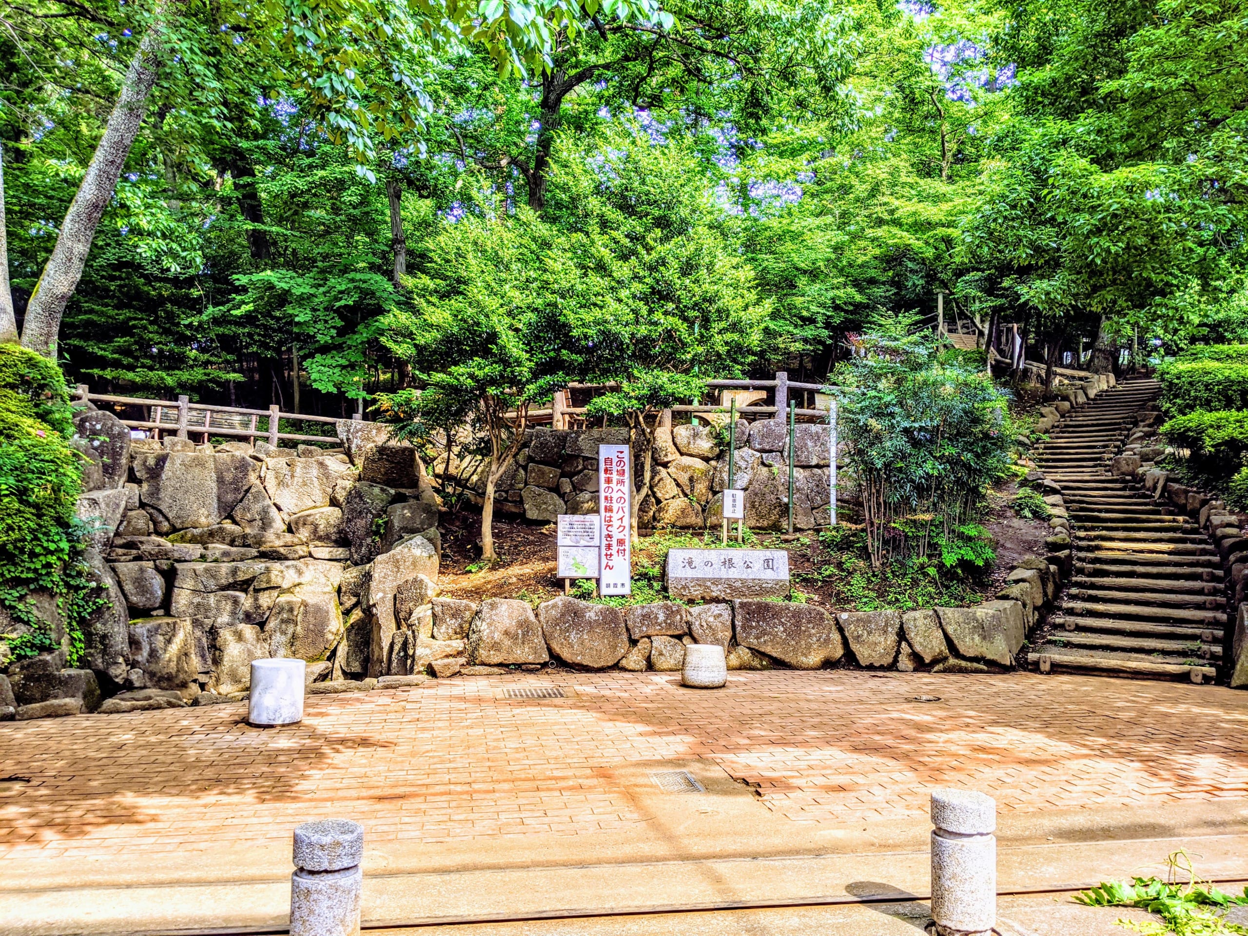 朝霞の秘境・滝の根公園の魅力解剖！吊り橋や湧水と駐車場の真実