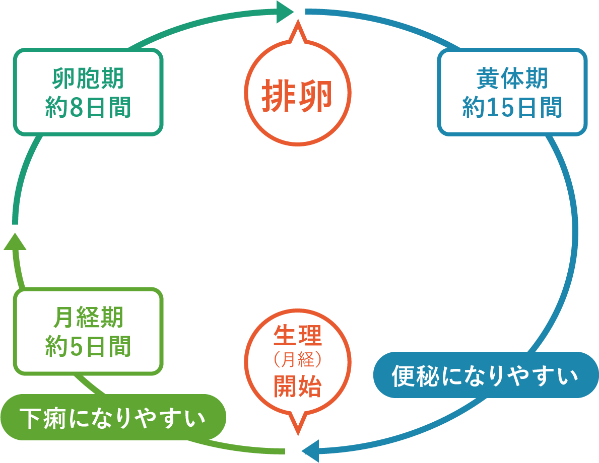 生理中の下痢はなぜ起こる？ホルモンの原因と即効対処法を徹底解説