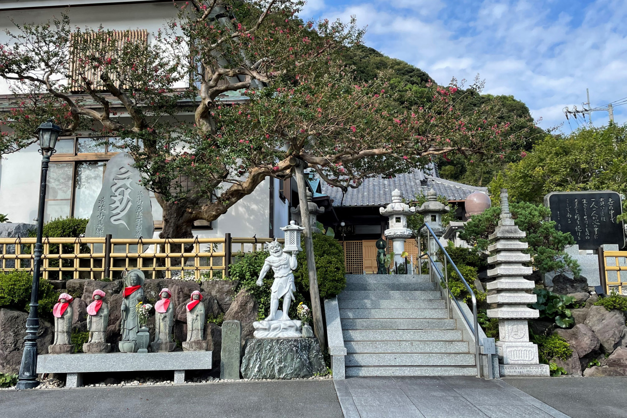 名刹・長運寺の全貌解剖｜御朱印と四季の絶景から由緒まで徹底ガイド