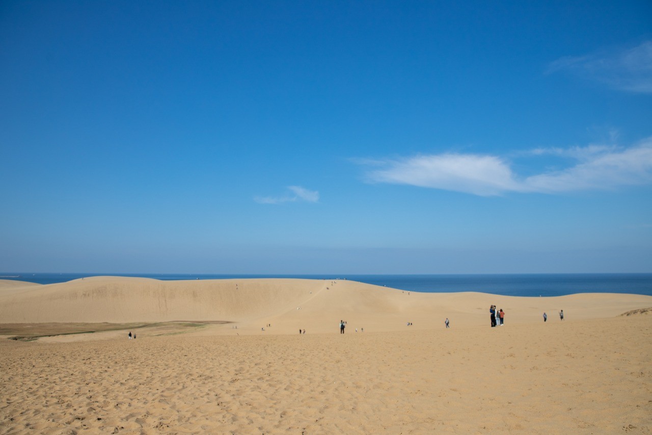 【2026年最新】鳥取グルメの新潮流！地産地消の絶品海鮮から隠れ家カフェまで地元記者が厳選した究極の食巡り
