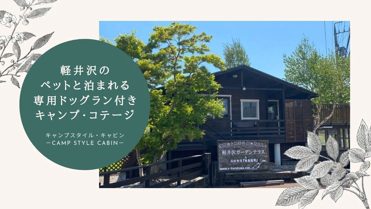 軽井沢でペットと泊まるコテージ2026！愛犬家絶賛の穴場を徹底比較