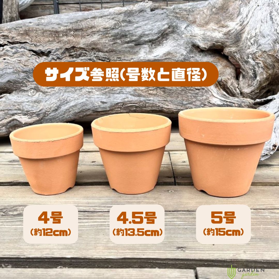 5号鉢のサイズは何Cm？土の容量と受け皿選び・根腐れを防ぐ極意